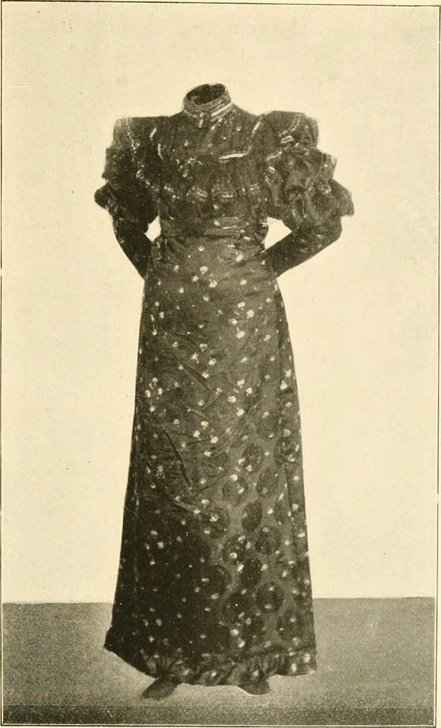 An illustration from Dress, and how to improve it, 1897, leaf 88