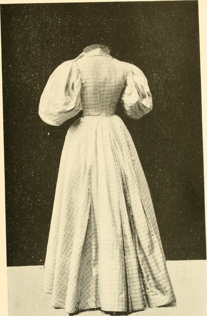 An illustration from Dress, and how to improve it, 1897, leaf 94