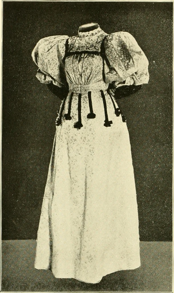An illustration from Dress, and how to improve it, 1897, leaf 99
