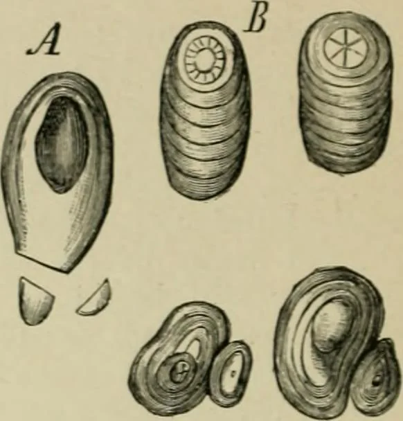 An illustration from Dressings and finishings for textile fabrics and their application; description of all the materials used in dressing textiles, 1911, leaf 40