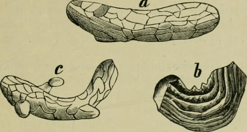 An illustration from Dressings and finishings for textile fabrics and their application; description of all the materials used in dressing textiles, 1911, leaf 65