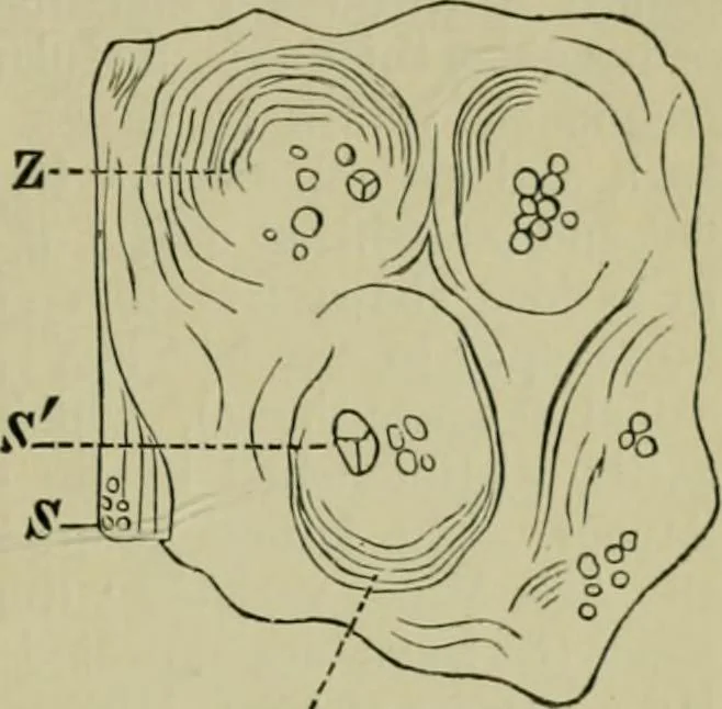 An illustration from Dressings and finishings for textile fabrics and their application; description of all the materials used in dressing textiles, 1911, leaf 71