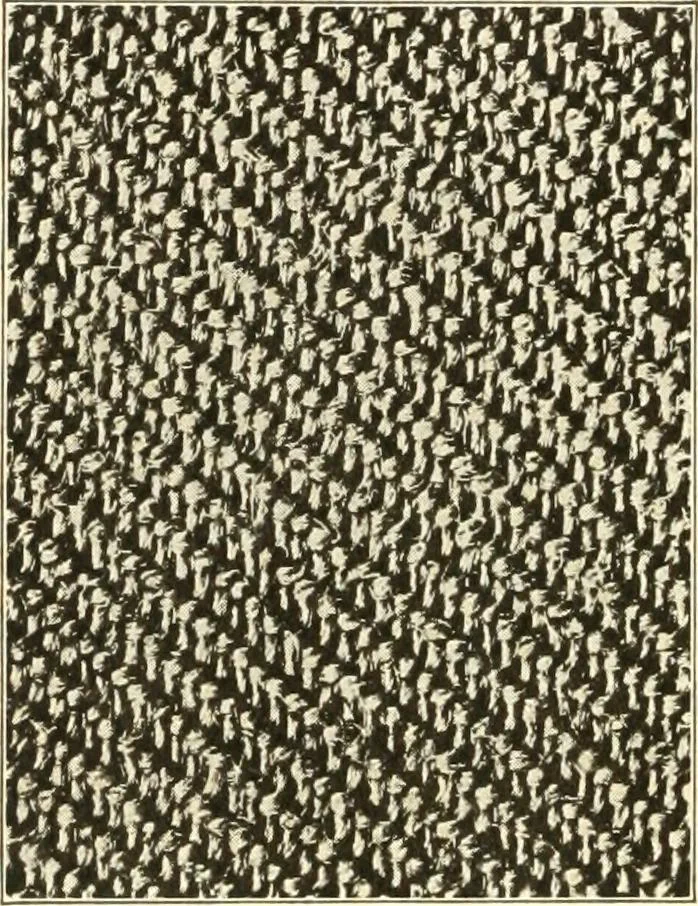 An illustration from Dressmaking, 1917, leaf 150