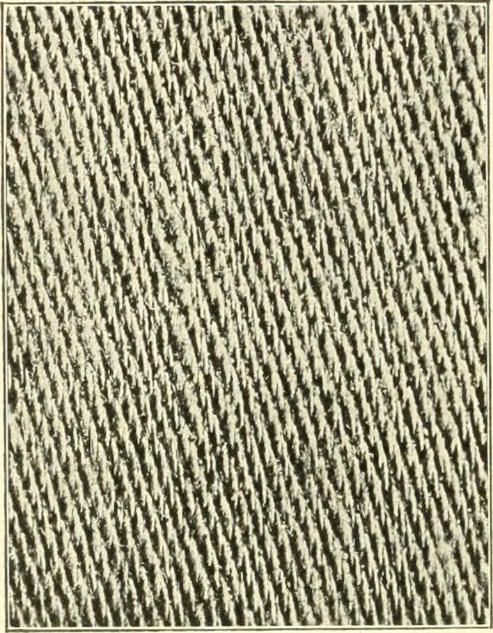 An illustration from Dressmaking, 1917, leaf 152
