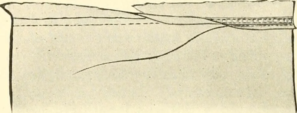 An illustration from Dressmaking, 1917, leaf 446