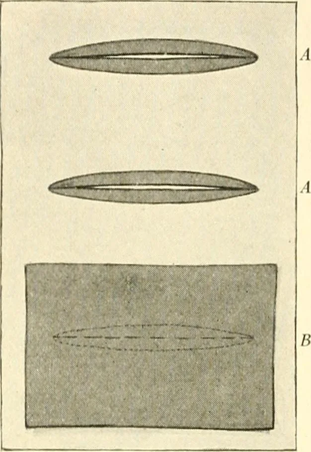 An illustration from Dressmaking, 1917, leaf 460