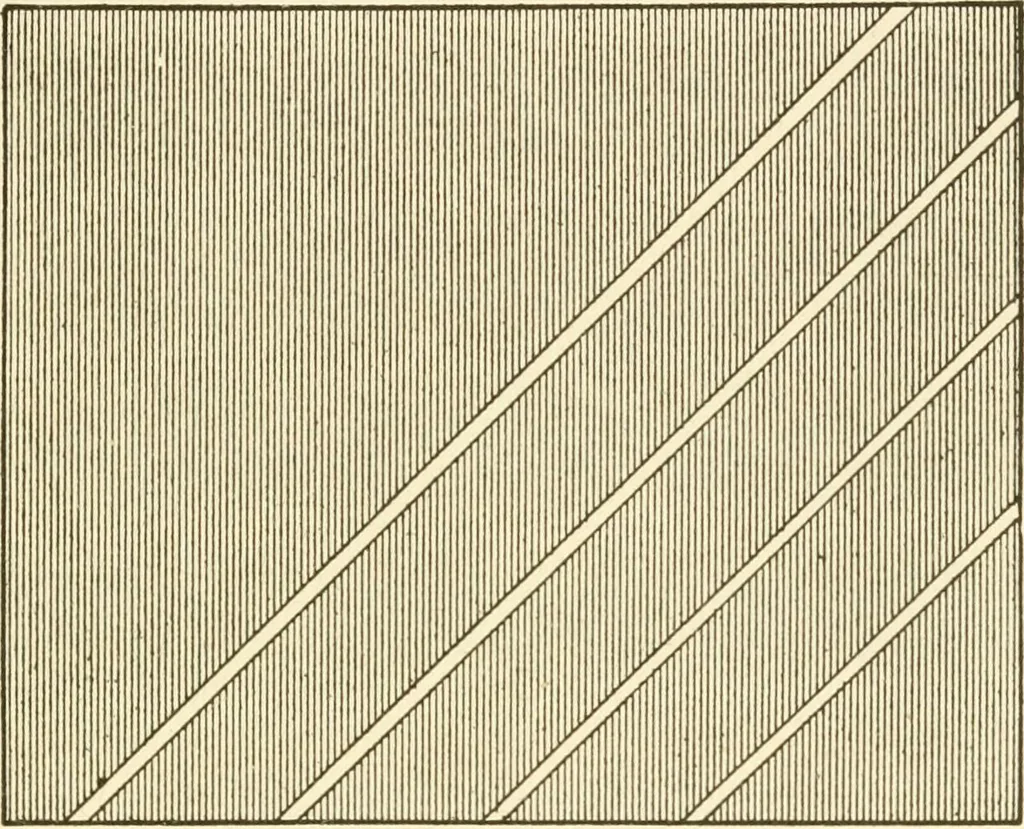 An illustration from The dress you wear and how to make it, 1918, leaf 100