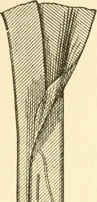 An illustration from The dress you wear and how to make it, 1918, leaf 106
