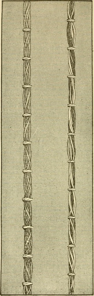 An illustration from The dress you wear and how to make it, 1918, leaf 109