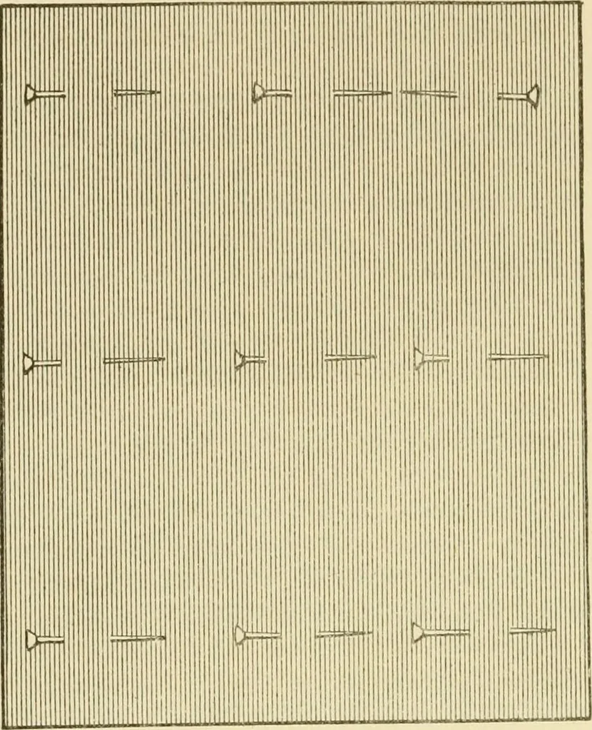 An illustration from The dress you wear and how to make it, 1918, leaf 157