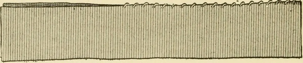 An illustration from The dress you wear and how to make it, 1918, leaf 63