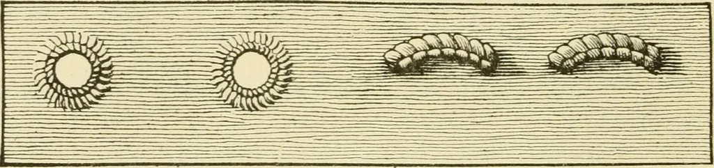 An illustration from The dress you wear and how to make it, 1918, leaf 75