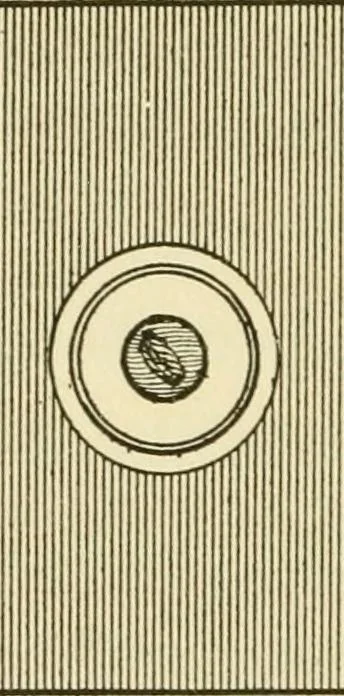 An illustration from The dress you wear and how to make it, 1918, leaf 77
