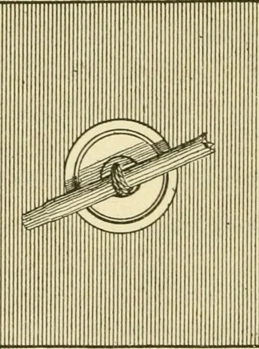An illustration from The dress you wear and how to make it, 1918, leaf 77