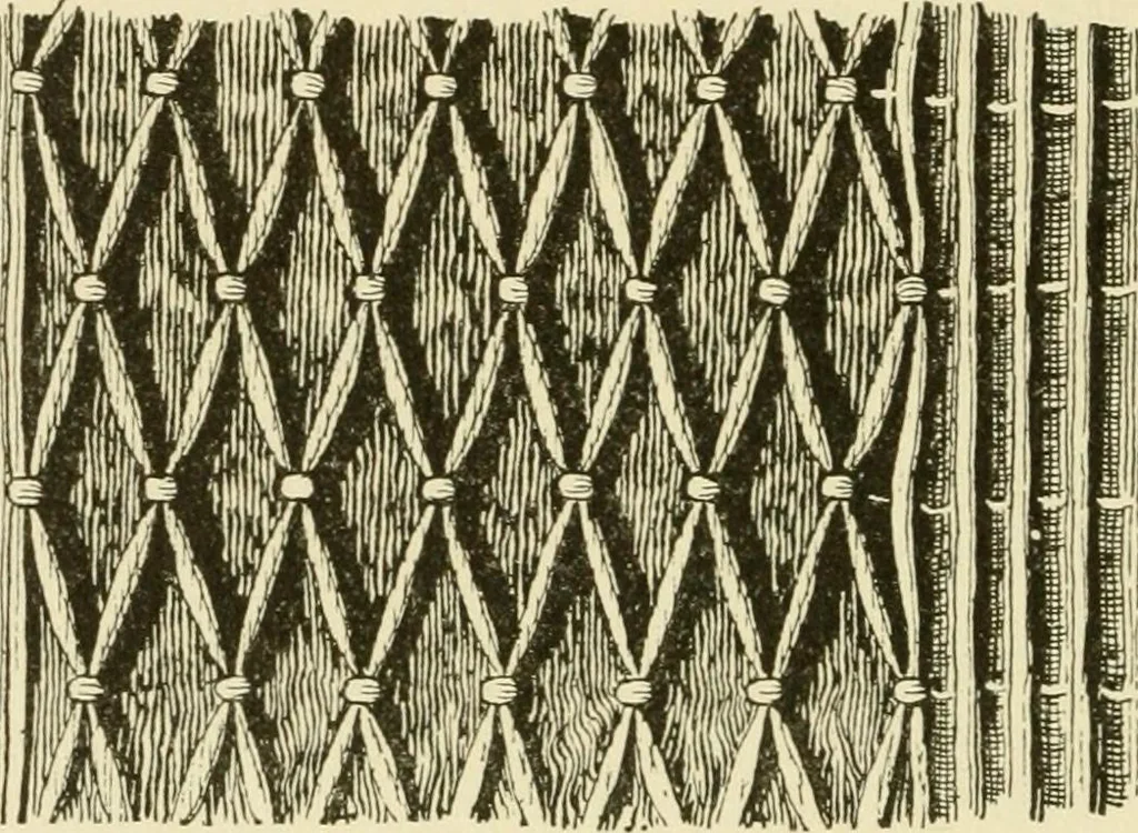 An illustration from The dress you wear and how to make it, 1918, leaf 79