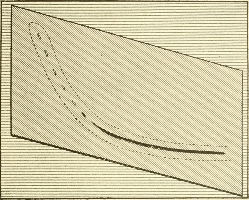 An illustration from The dress you wear and how to make it, 1918, leaf 86