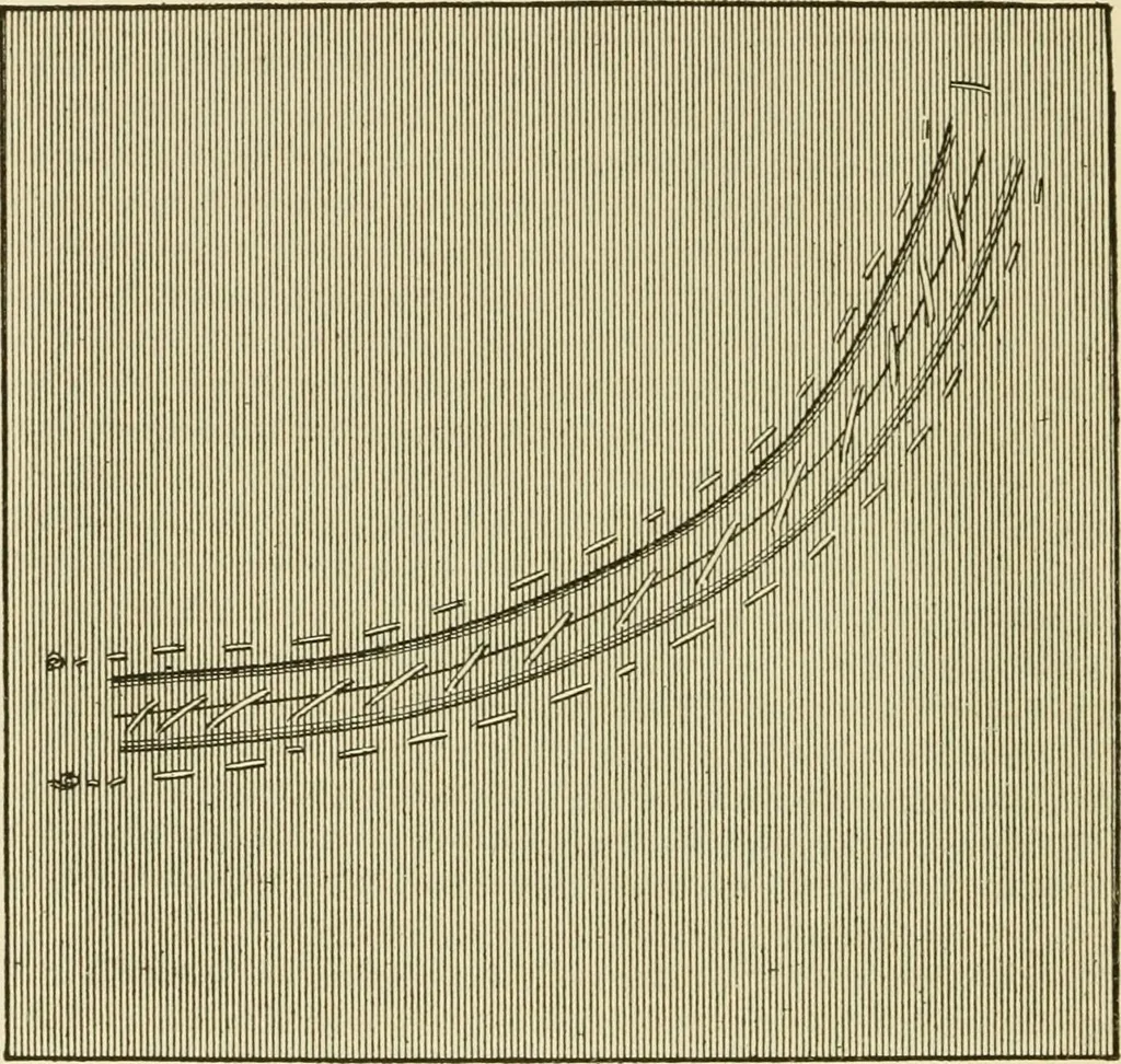An illustration from The dress you wear and how to make it, 1918, leaf 87