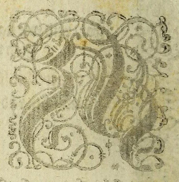 An illustration from Drey newe relationes. Erste, auss Japoñ, was sich darinn, so wol in geist-als weltlichen sachen im jahr Christi 1606. denkwürdigs zugetragen. Andere, von missionibus oder reisen, so etliche priester der Societet Jesu, im jar 1607. in das königreich Mexico angestelt. Dritte, von ableiben dess mächtigen königs Mogor, vnd wie nach selbigem in seinem reich das religion vnd politisch wesen beschaffen, 1611, leaf 8