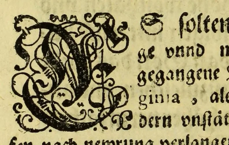An illustration from Dreyzehende Schiffahrt darinnen ein Warhafftiger vnd Gründtlicher Bericht, von dem jtzigen Zustandt der Landtschafft Virginien; : auch wie nunmehr der Friede mit den Indianern beschlossen: vnd wie etliche Städte vnd Vestunge alda zum Schutz des Landtes von den Engelischen auffgebawet worden. Sampt einer Relation, wie König Powhatans in Virginien Tochter, Pocahuntas genant, Christlichen getaufft vn[d] mit einem Engelischen verheurahtet worden, sehr anmu[n]tig zu lesen, &c., 1617, leaf 12