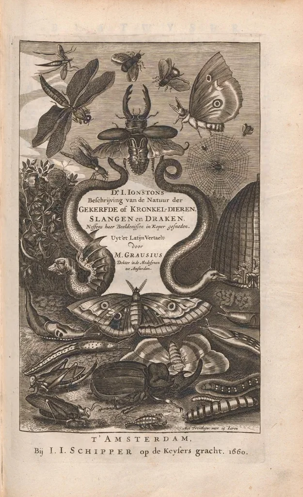 An illustration from Dr I. Ionstons beschrijving van de natuur der gekerfde of kronkel-dieren, slangen en draken. Neffens haer beeldenissen in oper gesneden., 1660, leaf 1