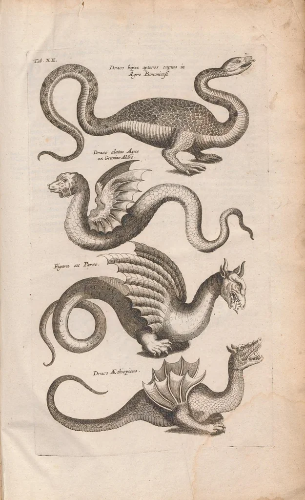 An illustration from Dr I. Ionstons beschrijving van de natuur der gekerfde of kronkel-dieren, slangen en draken. Neffens haer beeldenissen in oper gesneden., 1660, leaf 277