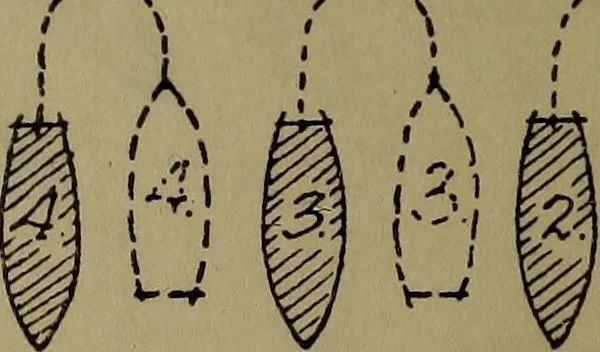 An illustration from Drill and code book of United States Power Squadrons, 1916, leaf 27