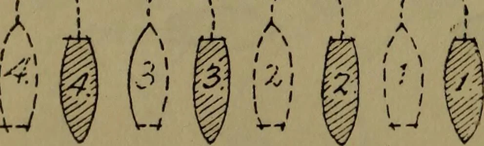 An illustration from Drill and code book of United States Power Squadrons, 1916, leaf 27