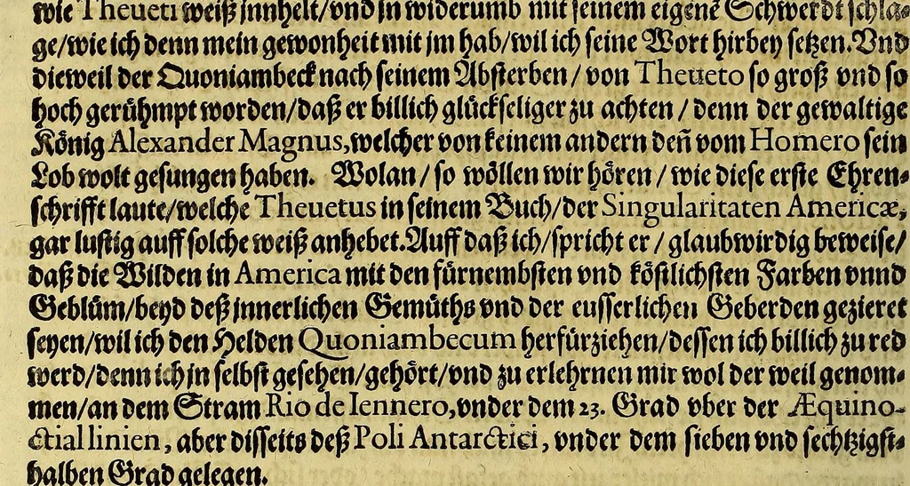 An illustration from Dritte Buch Americae, darinn Brasilia : durch Johann Staden von Homberg auss Hessen, auss eigener erfahrung in Teutsch beschrieben. Item Historia der Schiffart Ioannis Lerij in Brasilien, welche er selbst publiciert hat, jetzt von newem verteutscht, durch Teucrium Annaeum Priuatum, C. Vom Wildern vnerhörten wesen der Innwoner, von allerley frembden Gethieren vnd Gewächsen, sampt einem Colloquio, in der Wilden Sprach., 1593, leaf 132