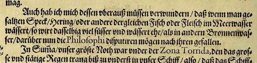 An illustration from Dritte Buch Americae, darinn Brasilia : durch Johann Staden von Homberg auss Hessen, auss eigener erfahrung in Teutsch beschrieben. Item Historia der Schiffart Ioannis Lerij in Brasilien, welche er selbst publiciert hat, jetzt von newem verteutscht, durch Teucrium Annaeum Priuatum, C. Vom Wildern vnerhörten wesen der Innwoner, von allerley frembden Gethieren vnd Gewächsen, sampt einem Colloquio, in der Wilden Sprach., 1593, leaf 168