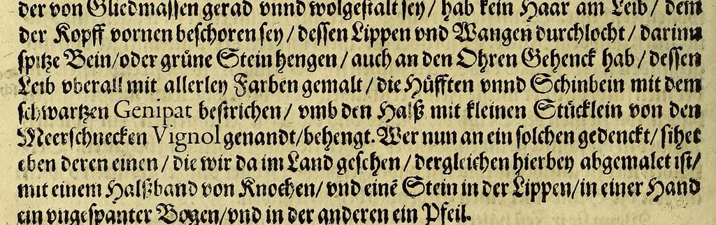 An illustration from Dritte Buch Americae, darinn Brasilia : durch Johann Staden von Homberg auss Hessen, auss eigener erfahrung in Teutsch beschrieben. Item Historia der Schiffart Ioannis Lerij in Brasilien, welche er selbst publiciert hat, jetzt von newem verteutscht, durch Teucrium Annaeum Priuatum, C. Vom Wildern vnerhörten wesen der Innwoner, von allerley frembden Gethieren vnd Gewächsen, sampt einem Colloquio, in der Wilden Sprach., 1593, leaf 200