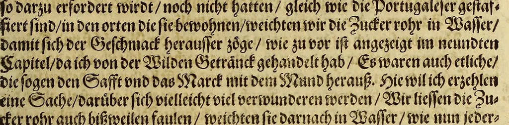 An illustration from Dritte Buch Americae, darinn Brasilia : durch Johann Staden von Homberg auss Hessen, auss eigener erfahrung in Teutsch beschrieben. Item Historia der Schiffart Ioannis Lerij in Brasilien, welche er selbst publiciert hat, jetzt von newem verteutscht, durch Teucrium Annaeum Priuatum, C. Vom Wildern vnerhörten wesen der Innwoner, von allerley frembden Gethieren vnd Gewächsen, sampt einem Colloquio, in der Wilden Sprach., 1593, leaf 237