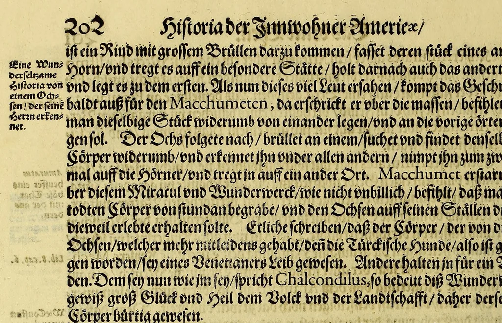 An illustration from Dritte Buch Americae, darinn Brasilia : durch Johann Staden von Homberg auss Hessen, auss eigener erfahrung in Teutsch beschrieben. Item Historia der Schiffart Ioannis Lerij in Brasilien, welche er selbst publiciert hat, jetzt von newem verteutscht, durch Teucrium Annaeum Priuatum, C. Vom Wildern vnerhörten wesen der Innwoner, von allerley frembden Gethieren vnd Gewächsen, sampt einem Colloquio, in der Wilden Sprach., 1593, leaf 260