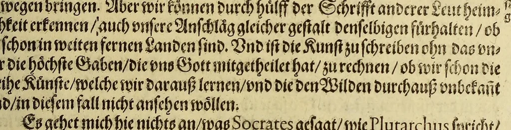 An illustration from Dritte Buch Americae, darinn Brasilia : durch Johann Staden von Homberg auss Hessen, auss eigener erfahrung in Teutsch beschrieben. Item Historia der Schiffart Ioannis Lerij in Brasilien, welche er selbst publiciert hat, jetzt von newem verteutscht, durch Teucrium Annaeum Priuatum, C. Vom Wildern vnerhörten wesen der Innwoner, von allerley frembden Gethieren vnd Gewächsen, sampt einem Colloquio, in der Wilden Sprach., 1593, leaf 271
