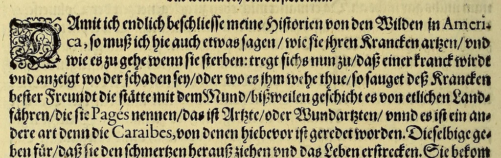 An illustration from Dritte Buch Americae, darinn Brasilia : durch Johann Staden von Homberg auss Hessen, auss eigener erfahrung in Teutsch beschrieben. Item Historia der Schiffart Ioannis Lerij in Brasilien, welche er selbst publiciert hat, jetzt von newem verteutscht, durch Teucrium Annaeum Priuatum, C. Vom Wildern vnerhörten wesen der Innwoner, von allerley frembden Gethieren vnd Gewächsen, sampt einem Colloquio, in der Wilden Sprach., 1593, leaf 302