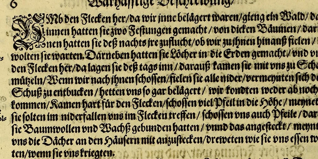 An illustration from Dritte Buch Americae, darinn Brasilia : durch Johann Staden von Homberg auss Hessen, auss eigener erfahrung in Teutsch beschrieben. Item Historia der Schiffart Ioannis Lerij in Brasilien, welche er selbst publiciert hat, jetzt von newem verteutscht, durch Teucrium Annaeum Priuatum, C. Vom Wildern vnerhörten wesen der Innwoner, von allerley frembden Gethieren vnd Gewächsen, sampt einem Colloquio, in der Wilden Sprach., 1593, leaf 32