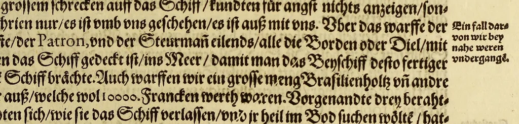 An illustration from Dritte Buch Americae, darinn Brasilia : durch Johann Staden von Homberg auss Hessen, auss eigener erfahrung in Teutsch beschrieben. Item Historia der Schiffart Ioannis Lerij in Brasilien, welche er selbst publiciert hat, jetzt von newem verteutscht, durch Teucrium Annaeum Priuatum, C. Vom Wildern vnerhörten wesen der Innwoner, von allerley frembden Gethieren vnd Gewächsen, sampt einem Colloquio, in der Wilden Sprach., 1593, leaf 331