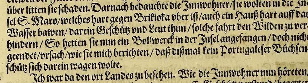 An illustration from Dritte Buch Americae, darinn Brasilia : durch Johann Staden von Homberg auss Hessen, auss eigener erfahrung in Teutsch beschrieben. Item Historia der Schiffart Ioannis Lerij in Brasilien, welche er selbst publiciert hat, jetzt von newem verteutscht, durch Teucrium Annaeum Priuatum, C. Vom Wildern vnerhörten wesen der Innwoner, von allerley frembden Gethieren vnd Gewächsen, sampt einem Colloquio, in der Wilden Sprach., 1593, leaf 46