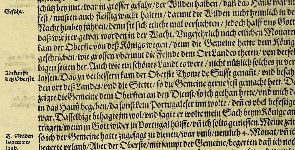 An illustration from Dritte Buch Americae, darinn Brasilia : durch Johann Staden von Homberg auss Hessen, auss eigener erfahrung in Teutsch beschrieben. Item Historia der Schiffart Ioannis Lerij in Brasilien, welche er selbst publiciert hat, jetzt von newem verteutscht, durch Teucrium Annaeum Priuatum, C. Vom Wildern vnerhörten wesen der Innwoner, von allerley frembden Gethieren vnd Gewächsen, sampt einem Colloquio, in der Wilden Sprach., 1593, leaf 46