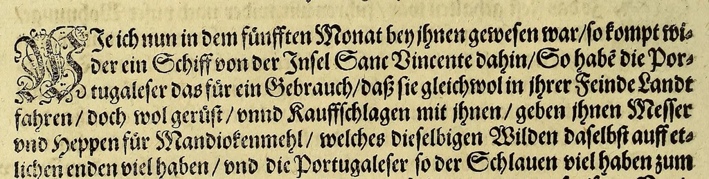 An illustration from Dritte Buch Americae, darinn Brasilia : durch Johann Staden von Homberg auss Hessen, auss eigener erfahrung in Teutsch beschrieben. Item Historia der Schiffart Ioannis Lerij in Brasilien, welche er selbst publiciert hat, jetzt von newem verteutscht, durch Teucrium Annaeum Priuatum, C. Vom Wildern vnerhörten wesen der Innwoner, von allerley frembden Gethieren vnd Gewächsen, sampt einem Colloquio, in der Wilden Sprach., 1593, leaf 70