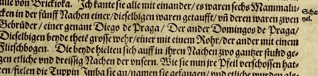 An illustration from Dritte Buch Americae, darinn Brasilia : durch Johann Staden von Homberg auss Hessen, auss eigener erfahrung in Teutsch beschrieben. Item Historia der Schiffart Ioannis Lerij in Brasilien, welche er selbst publiciert hat, jetzt von newem verteutscht, durch Teucrium Annaeum Priuatum, C. Vom Wildern vnerhörten wesen der Innwoner, von allerley frembden Gethieren vnd Gewächsen, sampt einem Colloquio, in der Wilden Sprach., 1593, leaf 81