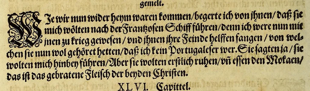 An illustration from Dritte Buch Americae, darinn Brasilia : durch Johann Staden von Homberg auss Hessen, auss eigener erfahrung in Teutsch beschrieben. Item Historia der Schiffart Ioannis Lerij in Brasilien, welche er selbst publiciert hat, jetzt von newem verteutscht, durch Teucrium Annaeum Priuatum, C. Vom Wildern vnerhörten wesen der Innwoner, von allerley frembden Gethieren vnd Gewächsen, sampt einem Colloquio, in der Wilden Sprach., 1593, leaf 84