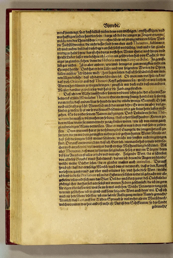An illustration from Dritte Buch Americae, darinn Brasilia : durch Johann Staden von Homberg auss Hessen, auss eigener erfahrung in Teutsch beschrieben. Item Historia der Schiffart Ioannis Lerij in Brasilien, welche er selbst publiciert hat, jetzt von newem verteutscht, durch Teucrium Annaeum Priuatum, C. Vom Wildern vnerhörten wesen der Innwoner, von allerley frembden Gethieren vnd Gewächsen, sampt einem Colloquio, in der Wilden Sprach., 1593, leaf 136