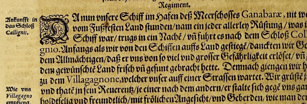 An illustration from Dritte Buch Americae, darinn Brasilia : durch Johann Staden von Homberg auss Hessen, auss eigener erfahrung in Teutsch beschrieben. Item Historia der Schiffart Ioannis Lerij in Brasilien, welche er selbst publiciert hat, jetzt von newem verteutscht, durch Teucrium Annaeum Priuatum, C. Vom Wildern vnerhörten wesen der Innwoner, von allerley frembden Gethieren vnd Gewächsen, sampt einem Colloquio, in der Wilden Sprach., 1593, leaf 176