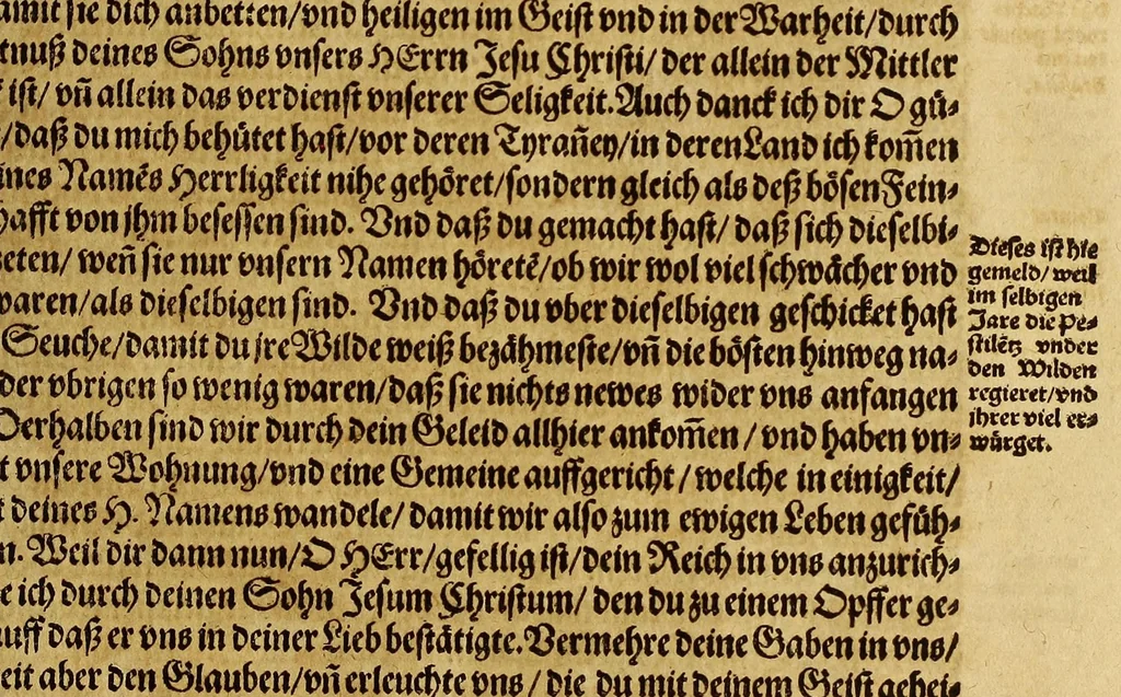 An illustration from Dritte Buch Americae, darinn Brasilia : durch Johann Staden von Homberg auss Hessen, auss eigener erfahrung in Teutsch beschrieben. Item Historia der Schiffart Ioannis Lerij in Brasilien, welche er selbst publiciert hat, jetzt von newem verteutscht, durch Teucrium Annaeum Priuatum, C. Vom Wildern vnerhörten wesen der Innwoner, von allerley frembden Gethieren vnd Gewächsen, sampt einem Colloquio, in der Wilden Sprach., 1593, leaf 179