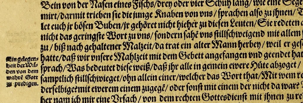 An illustration from Dritte Buch Americae, darinn Brasilia : durch Johann Staden von Homberg auss Hessen, auss eigener erfahrung in Teutsch beschrieben. Item Historia der Schiffart Ioannis Lerij in Brasilien, welche er selbst publiciert hat, jetzt von newem verteutscht, durch Teucrium Annaeum Priuatum, C. Vom Wildern vnerhörten wesen der Innwoner, von allerley frembden Gethieren vnd Gewächsen, sampt einem Colloquio, in der Wilden Sprach., 1593, leaf 282