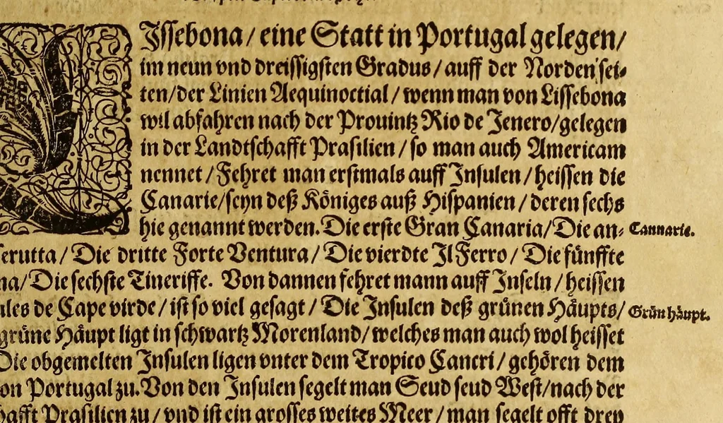 An illustration from Dritte Buch Americae, darinn Brasilia : durch Johann Staden von Homberg auss Hessen, auss eigener erfahrung in Teutsch beschrieben. Item Historia der Schiffart Ioannis Lerij in Brasilien, welche er selbst publiciert hat, jetzt von newem verteutscht, durch Teucrium Annaeum Priuatum, C. Vom Wildern vnerhörten wesen der Innwoner, von allerley frembden Gethieren vnd Gewächsen, sampt einem Colloquio, in der Wilden Sprach., 1593, leaf 93