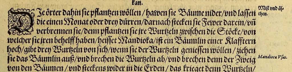 An illustration from Dritte Buch Americae, darinn Brasilia : durch Johann Staden von Homberg auss Hessen, auss eigener erfahrung in Teutsch beschrieben. Item Historia der Schiffart Ioannis Lerij in Brasilien, welche er selbst publiciert hat, jetzt von newem verteutscht, durch Teucrium Annaeum Priuatum, C. Vom Wildern vnerhörtem wesen der Innwoner, von allerley frembden Gethieren vnd Gewächsen, sampt einem Colloquio, in der Wilden Sprach., 1606, leaf 101