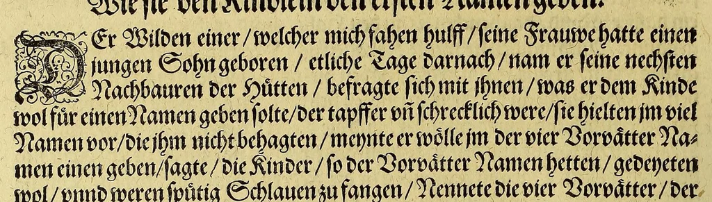 An illustration from Dritte Buch Americae, darinn Brasilia : durch Johann Staden von Homberg auss Hessen, auss eigener erfahrung in Teutsch beschrieben. Item Historia der Schiffart Ioannis Lerij in Brasilien, welche er selbst publiciert hat, jetzt von newem verteutscht, durch Teucrium Annaeum Priuatum, C. Vom Wildern vnerhörtem wesen der Innwoner, von allerley frembden Gethieren vnd Gewächsen, sampt einem Colloquio, in der Wilden Sprach., 1606, leaf 106