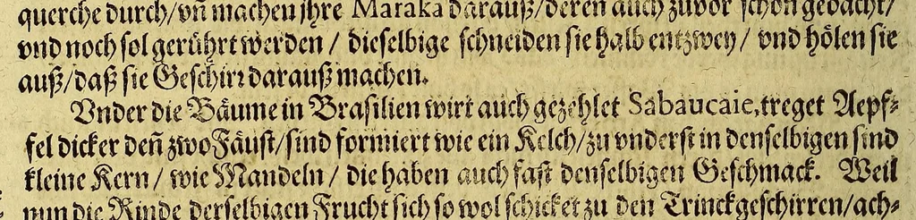 An illustration from Dritte Buch Americae, darinn Brasilia : durch Johann Staden von Homberg auss Hessen, auss eigener erfahrung in Teutsch beschrieben. Item Historia der Schiffart Ioannis Lerij in Brasilien, welche er selbst publiciert hat, jetzt von newem verteutscht, durch Teucrium Annaeum Priuatum, C. Vom Wildern vnerhörtem wesen der Innwoner, von allerley frembden Gethieren vnd Gewächsen, sampt einem Colloquio, in der Wilden Sprach., 1606, leaf 242