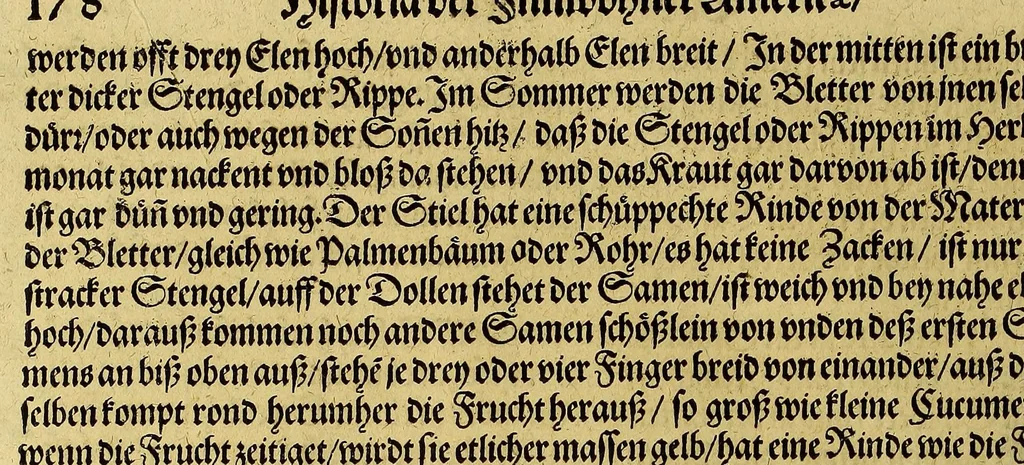 An illustration from Dritte Buch Americae, darinn Brasilia : durch Johann Staden von Homberg auss Hessen, auss eigener erfahrung in Teutsch beschrieben. Item Historia der Schiffart Ioannis Lerij in Brasilien, welche er selbst publiciert hat, jetzt von newem verteutscht, durch Teucrium Annaeum Priuatum, C. Vom Wildern vnerhörtem wesen der Innwoner, von allerley frembden Gethieren vnd Gewächsen, sampt einem Colloquio, in der Wilden Sprach., 1606, leaf 244